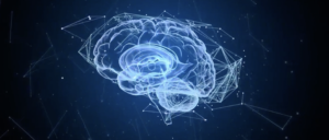 The human brain and neural networks